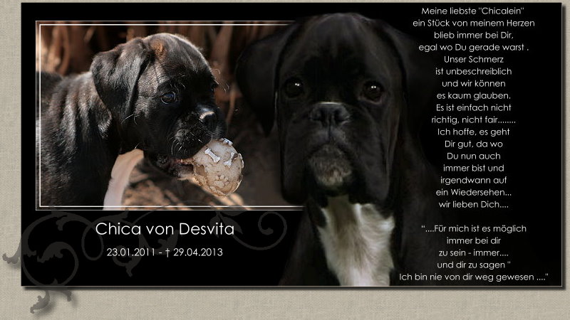 Chica von Desvita